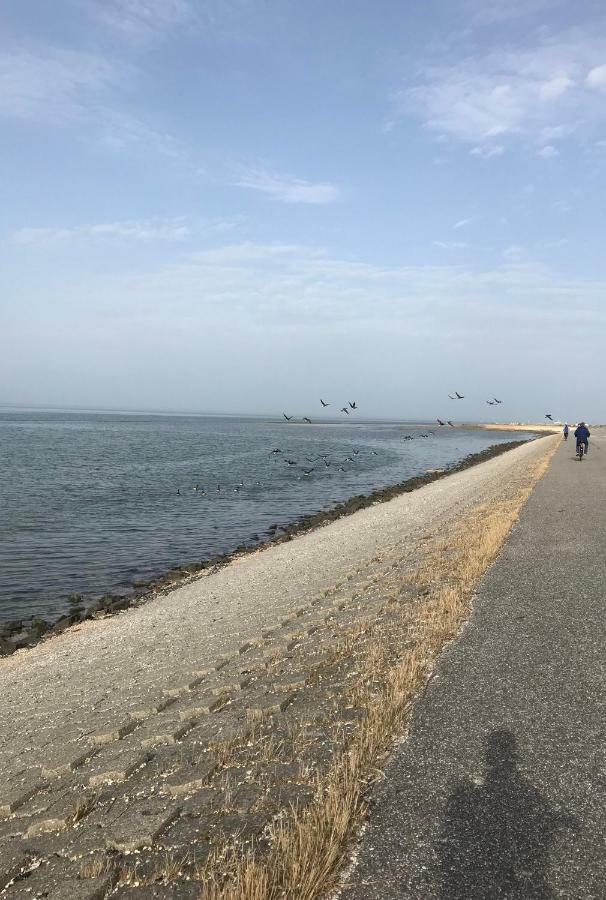 Haus Gorch Fock Lägenhet Neuharlingersiel Exteriör bild